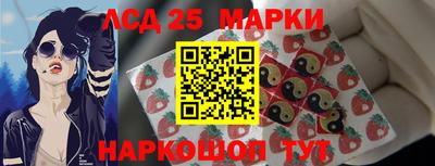 прущие грибы Абакан
