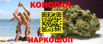 прущие грибы Абакан
