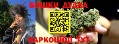 прущие грибы Абакан