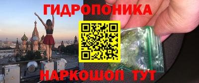 прущие грибы Абакан