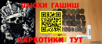 прущие грибы Абакан