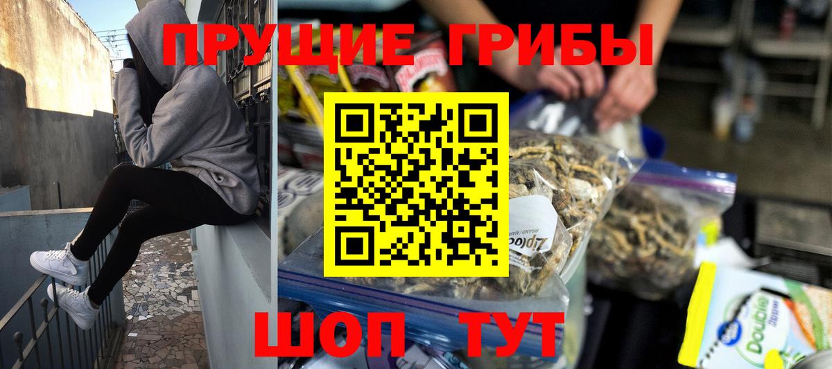 Псилоцибиновые грибы мухоморы Алексеевка